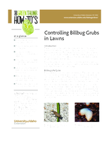 Controlling Billbug Grubs in Lawns