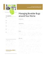 Managing Boxelder Bugs Around Your Home