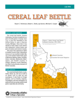 Cereal Leaf Beetle