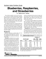 Northern Idaho Fertilizer Guide: Blueberries, Raspberries, and Strawberries
