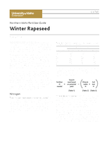 Northern Idaho Fertilizer Guide: Winter Rapeseed