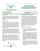 Plant Your Seedlings Right