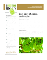 Leaf Spot of Aspen and Poplar