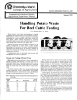 Handling Potato Waste for Beef Cattle Feeding