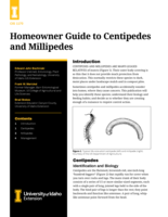 Homeowner Guide to Centipedes and Millipedes