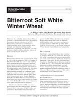 Bitterroot Soft White Winter Wheat