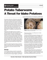 Potato Tuberworm: A Threat for Idaho Potatoes