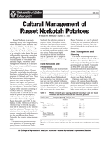 Cultural Management of Russet Norkotah Potatoes