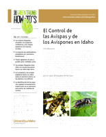 El Control de las Avispas y de los Avispones en Idaho