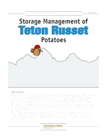 Storage Management of Teton Russet Potatoes
