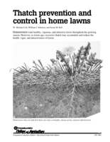 Thatch Prevention and Control in Home Lawns