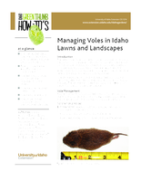 Managing Voles in Idaho Lawns and Landscapes