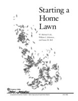 Starting a Home Lawn