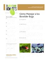 C mo Manejar a los Boxelder Bugs