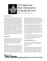 Controlling Iron Deficiency in Plants in Idaho