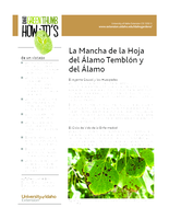 La Mancha de la Hoja del  lamo Tembl n y del  lamo