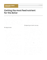Getting the Most Feed Nutrient for the Dollar