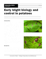Early Blight Biology and Control in Potatoes