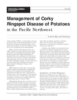 Management of Corky Ringspot Disease of Potatoes in the Pacific Northwest