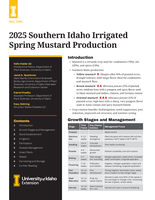 2025 Southern Idaho Irrigated Spring Mustard Production
