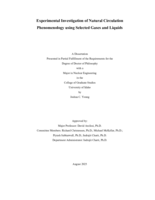 Experimental Investigation of Natural Circulation Phenomenology using Selected Gases and Liquids