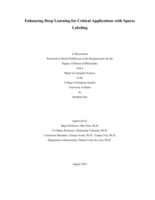 Enhancing Deep Learning for Critical Applications with Sparse Labeling