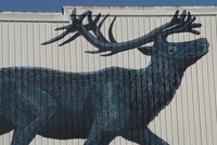 Storying Extinction: Responding to the Loss of North Idaho's Mountain Caribou