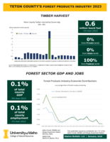 2023 Teton County's Forest Products Industry