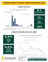 2023 Oneida County's Forest Products Industry