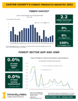 2023 Custer County's Forest Products Industry