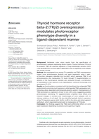 Thyroid hormone receptor beta-2 (TRβ2) overexpression modulates photoreceptor phenotype diversity in a ligand-dependent manner