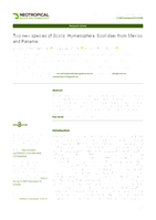 Two new species of Scolia (Hymenoptera, Scoliidae) from Mexico and Panama