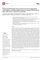 Bovine Viral Diarrhea Virus-1 (Pestivirus bovis) Associated with Stillborn and Mummified Fetuses in Farmed White-tailed Deer (Odocoileus virginianus) in Florida