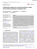 Collaboration between two conserved sequence motifs drives ATPase stimulation of Hsp90 by Aha1