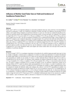 Influence of Mother Seed Tuber Size on Yield and Incidence of Seedborne Potato Virus Y