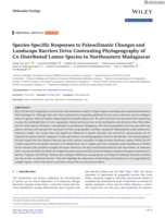 Species-Specific Responses to Paleoclimatic Changes and Landscape Barriers Drive Contrasting Phylogeography of Co-Distributed Lemur Species in Northeastern Madagascar