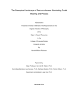 The Conceptual Landscape of Resource Access: Illuminating Social Meaning and Process
