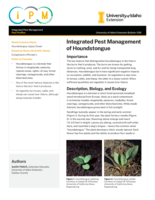 Integrated Pest Management of Houndstongue