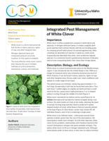 Integrated Pest Management of White Clover