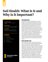 Soil Health: What Is It and Why Is It Important?