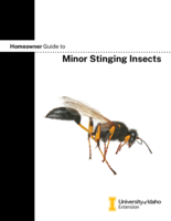 Homeowner Guide to Minor Stinging Insects