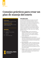Consejos prácticos para crear un plan de manejo del estrés