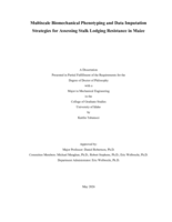 Multiscale Biomechanical Phenotyping and Data Imputation Strategies for Assessing Stalk Lodging Resistance in Maize