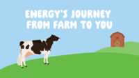 Dairy in a Box