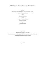 Deficit Irrigation Effects on Russet-Type Potato Cultivars