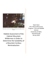 Habitat Assessment of the Cabinet Moutain Wilderness in Order to Determine the Suitability of a Mountain Caribou Reintroduction